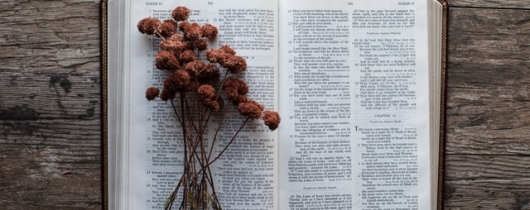Bible with flowers