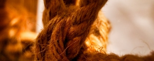Ties that bind