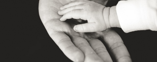 Hands