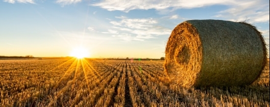 Harvest