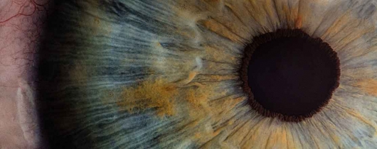 Eye-ecu