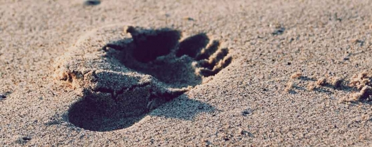 Footstep-sand