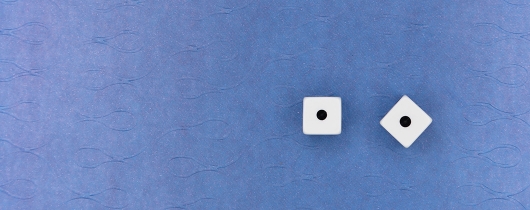 Markus-winkler- mpp6yzytzg-unsplash