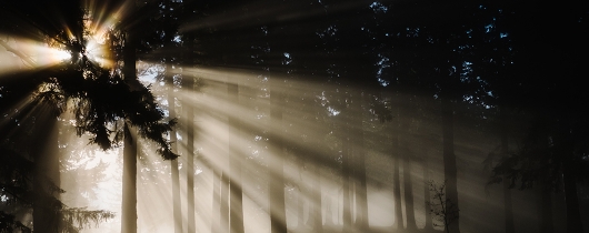 Kristine-weilert-tlnrtxied7k-unsplash