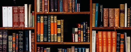 Inaki-del-olmo-nijueqw0rkg-unsplash