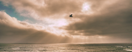 Joseph-barrientos-uklxbpe-hos-unsplash