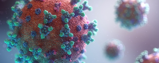 Fusion-medical-animation-rnr8d3fnuny-unsplash