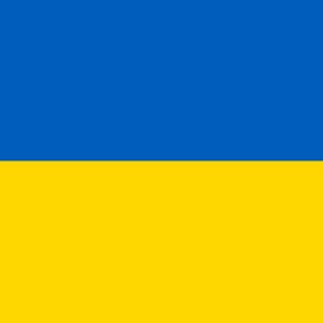 Help the Capuchin friars in Ukraine
